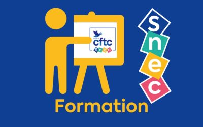 Formation initiale DS et RSS du 20 novembre : partage et renforcement de compétences